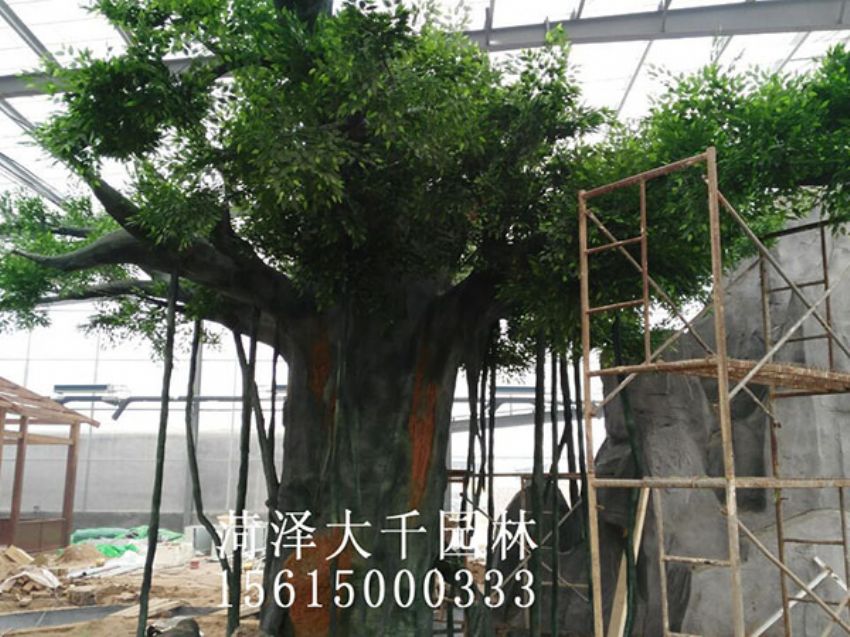 點擊查看詳細(xì)信息<br>標(biāo)題：假樹 閱讀次數(shù)：1202