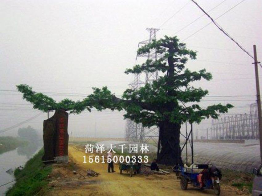 點(diǎn)擊查看詳細(xì)信息<br>標(biāo)題：假樹 閱讀次數(shù)：1248