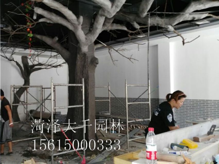 點擊查看詳細信息<br>標題：假樹 閱讀次數(shù)：1262