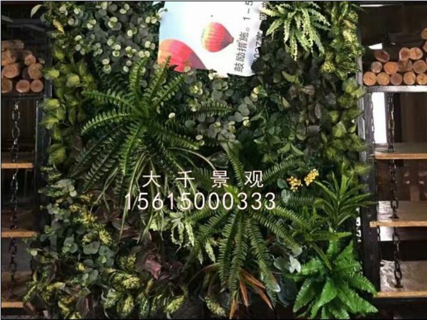 點(diǎn)擊查看詳細(xì)信息<br>標(biāo)題：綠植墻 閱讀次數(shù)：1258