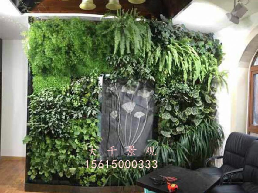 點(diǎn)擊查看詳細(xì)信息<br>標(biāo)題：綠植墻 閱讀次數(shù)：1505