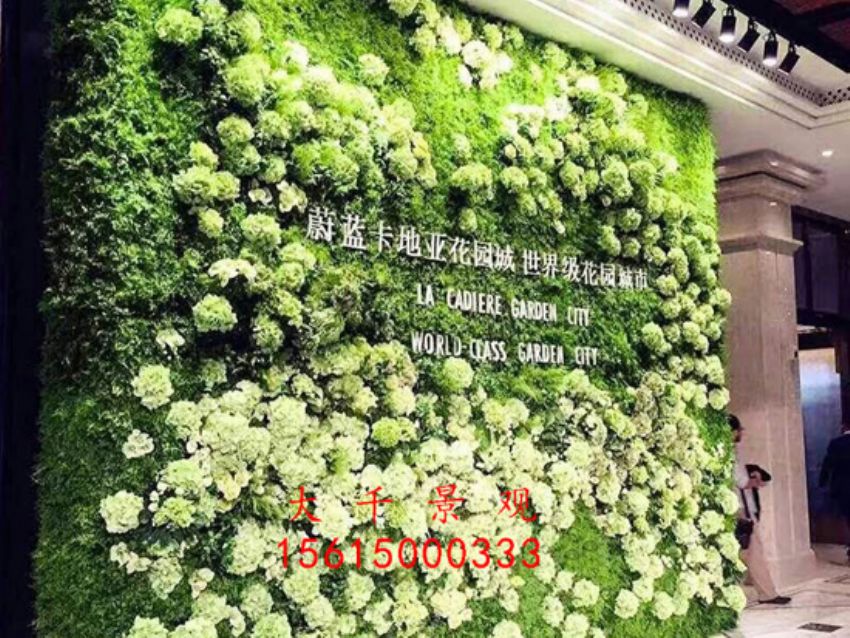 點(diǎn)擊查看詳細(xì)信息<br>標(biāo)題：綠植墻 閱讀次數(shù)：1801