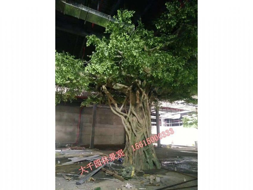 點(diǎn)擊查看詳細(xì)信息<br>標(biāo)題：假樹(shù) 閱讀次數(shù)：1630